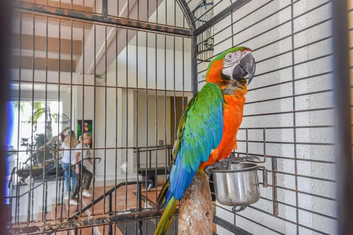 Experience Margaritaville Golf And Shopping ريو غراندي 0*,